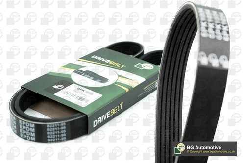 Bga multi drive belt - belt, for